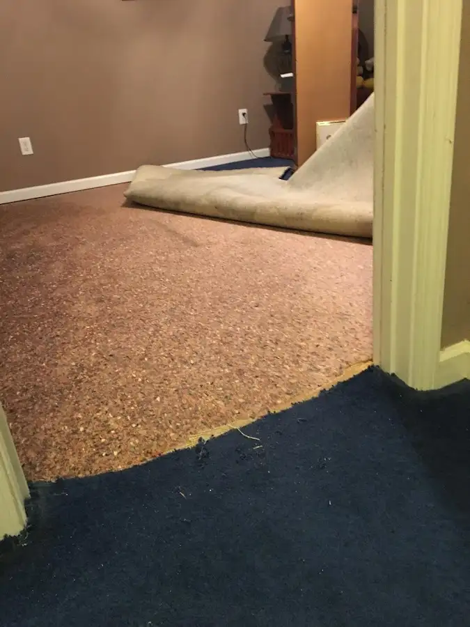 Carpet pad removal revealing water damage during Water Mitigation Services in Shorewood