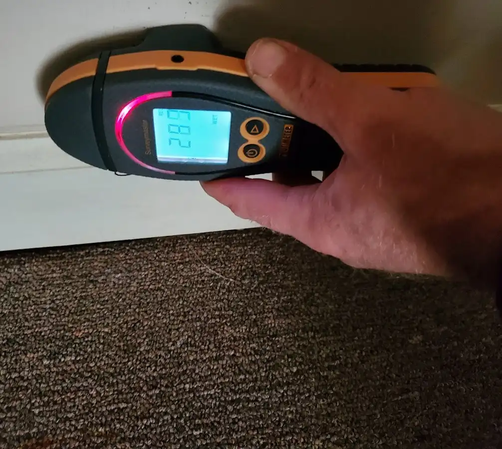 Moisture detection at baseboard during Sewage Cleanup & Sanitation in Shorewood